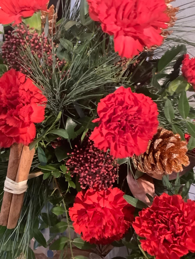 Festive Carnation sensation